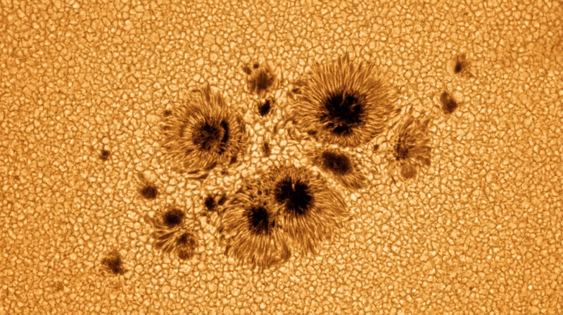 A detailed view of a sunspot group showing dark umbrae surrounded by lighter penumbrae on the bright solar surface