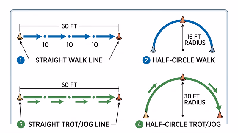 Bird's-eye arena diagram showing the straight-line and half-circle riding patterns with their required sizes at walk and trot or jog